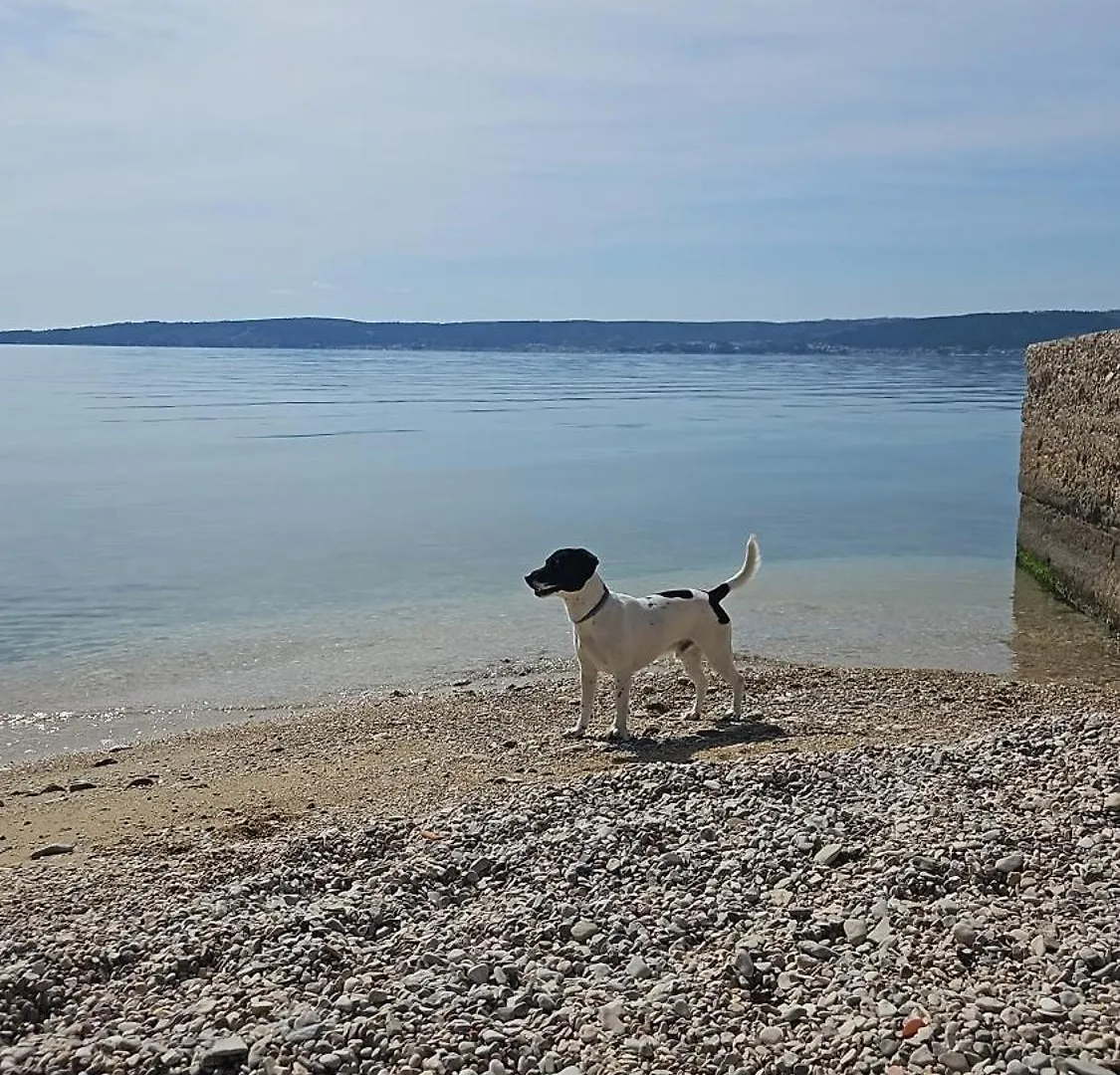 By Osibov, Holiday Home Kastela Homestay